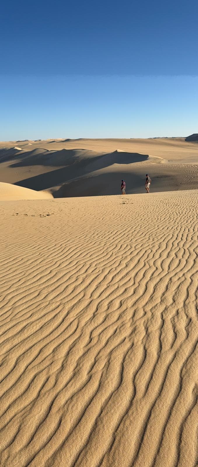 Amazing Sahara Desert Safari